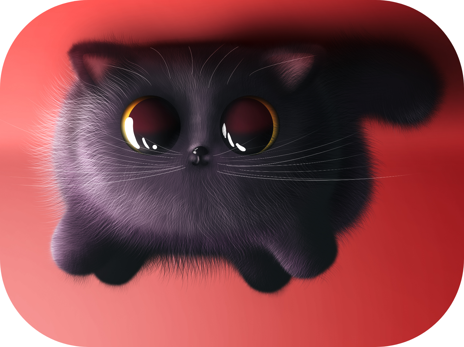 Illustration einer Katze